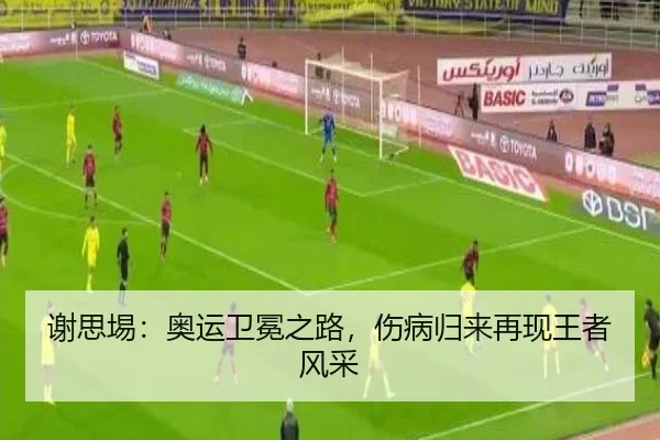 谢思埸：奥运卫冕之路，伤病归来再现王者风采